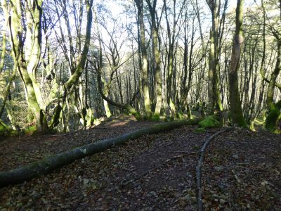 Croisement après Eguzeko