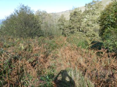 Vue sentier Olhazarre