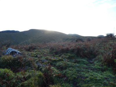 Croisement après Arloteko 2