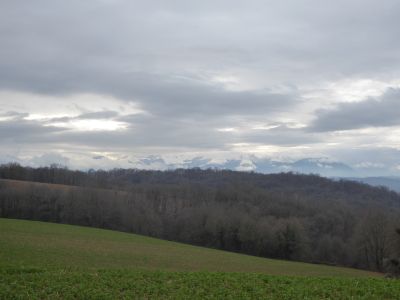 Vue Pyrénées