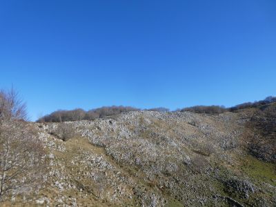 Vue montée Leuba 2