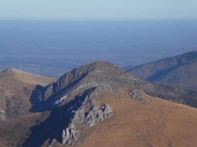 Vue Roi