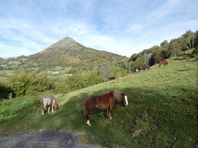Vue chevaux Castéra