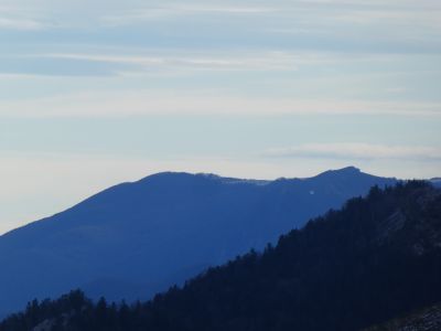 Vue Toupiettes