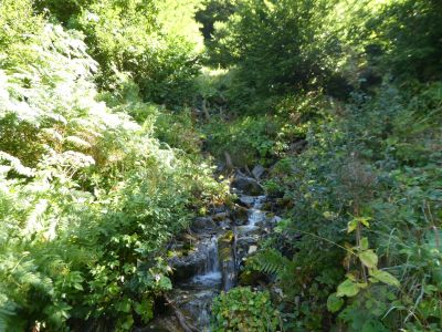 Vue Ruisseau Lurien 3