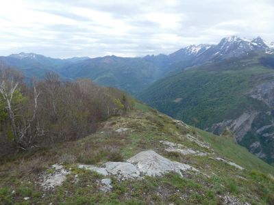 Vue montée Gentiane