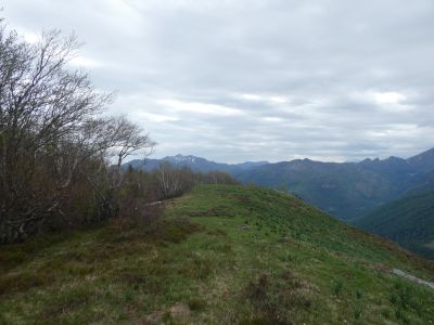 Vue Gentiane