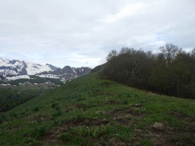 Descente Gentiane