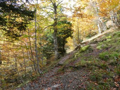 Croisement après Cujalate 1