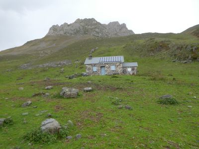 Croisement Laiterine