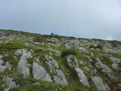 Vue chemin Merdanson 4