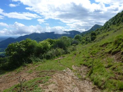 Croisement après Nabails 2