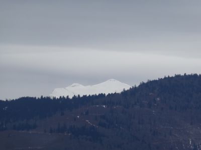 Vue Hage
