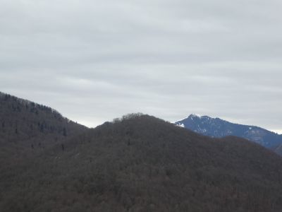 Vue Serre