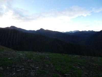 Croisement faux-col Martipeyras