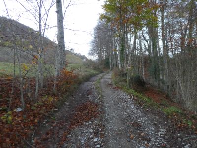 Croisement après Lascoutous
