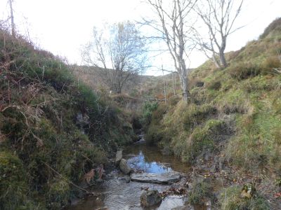 Vue Ruisseau Aout
