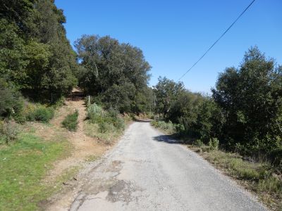 Croisement montée Catri
