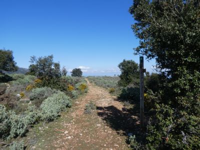 Croisement montée Catri 571 2