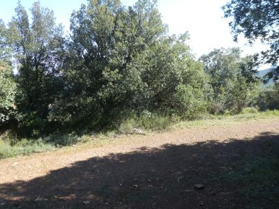 Croisement après Catri