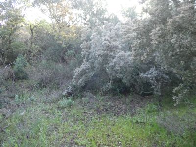 Croisement fin Gimenell