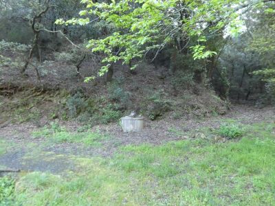 Croisement avant Manent