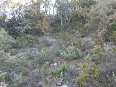 Croisement après Manent
