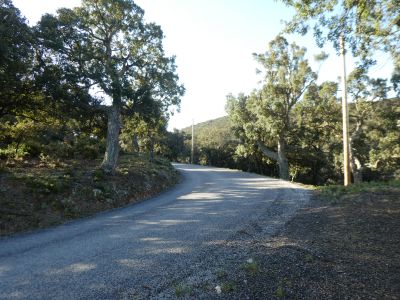 Croisement D2 Manent