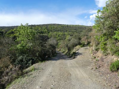 Croisement après Sainte-Colombe 2