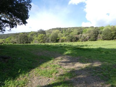 Església Santa Coloma