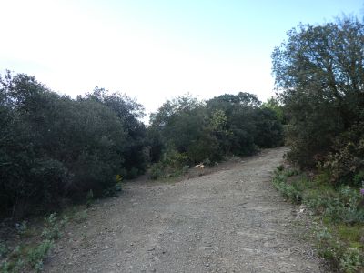 Croisement après Santa Coloma 3