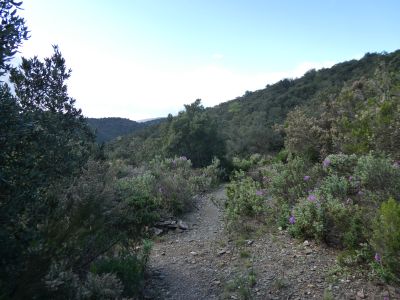 Croisement après Santa Coloma 4