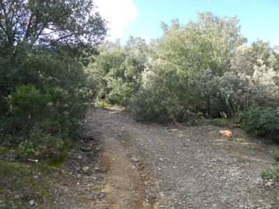 Croisement fin orange