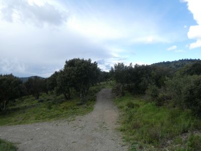 Croisement piste Marsal 2