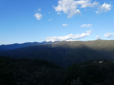 Vue Canigou
