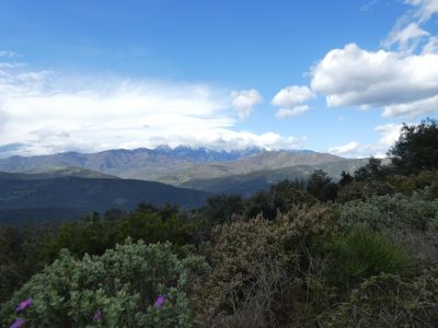 Vue Canigou 2