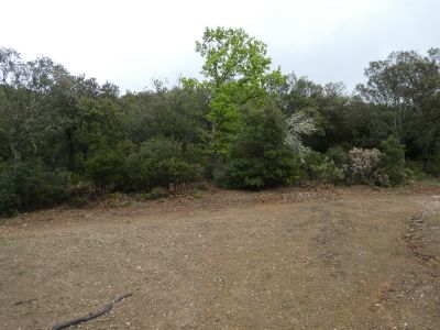 Croisement Sant Ponç 2