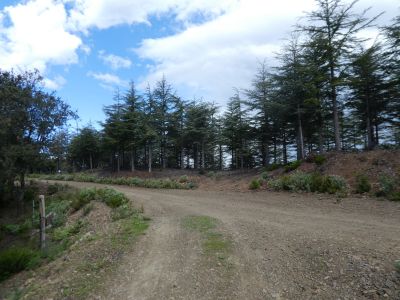 Croisement après Candell