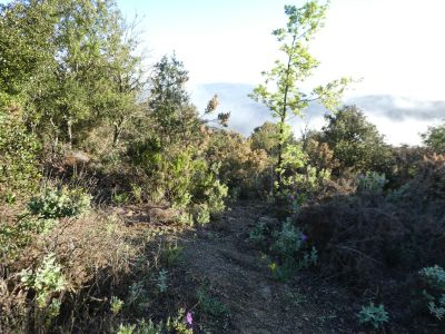 Croisement sentier Gimenell 2