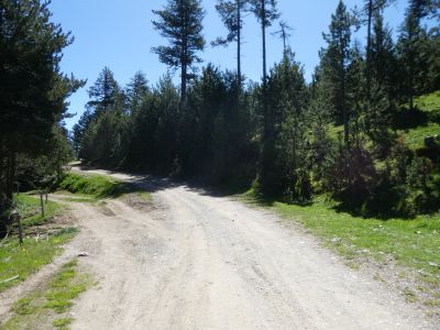 Croisement fin piste Llong