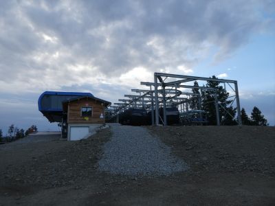 Croisement Calmasella