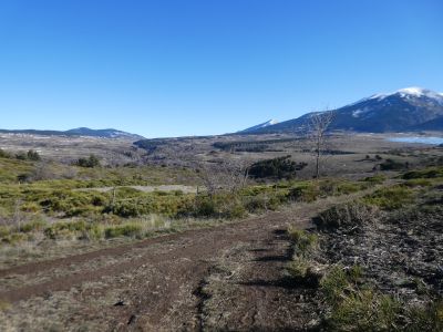 Croisement après Hippopotame 2