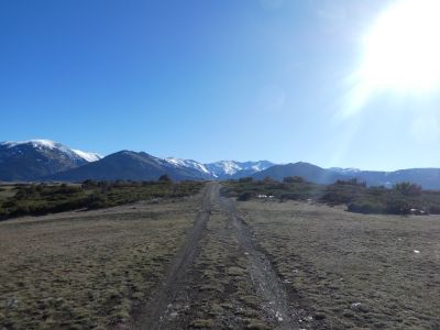Croisement après Hippopotame 3