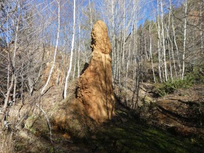 Croisement N116 Andius