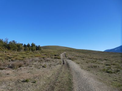 Vue montée Hippopotame