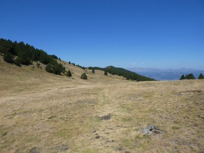 Croisement Carbasses