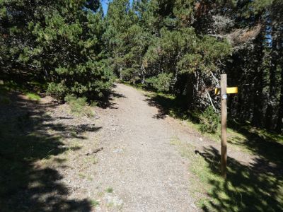 Croisement après Carbasses
