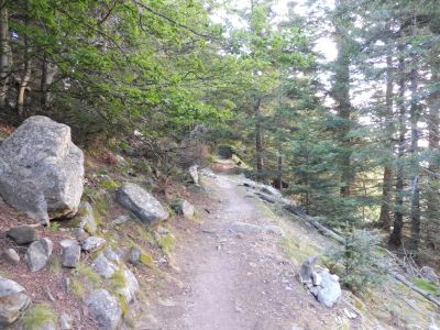 Croisement début Molleres