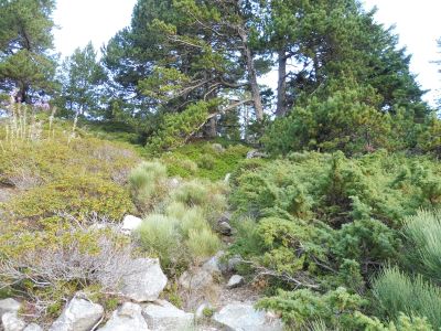 Vue montée Molleres