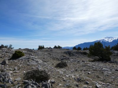 Vue plateau Tartera
